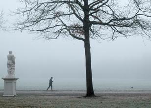 Das mit dem Schnee hat sich in der kommenden Woche vorerst erledigt: Auf Rh... weiterlesen
