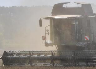 Auf die Konten von Brandenburger und Berliner Landwirten werden noch bis We... weiterlesen