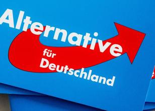 Die AfD im Bundestag ist beim Bundesverfassungsgericht mit ihrer Klage gege... weiterlesen