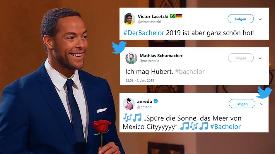 Die besten Twitter-Reaktionen zum Auftakt von "Der Bachelor" 2019 Das Netz feiert den Staffel-Auftakt von "Der Bachelor" 2019.