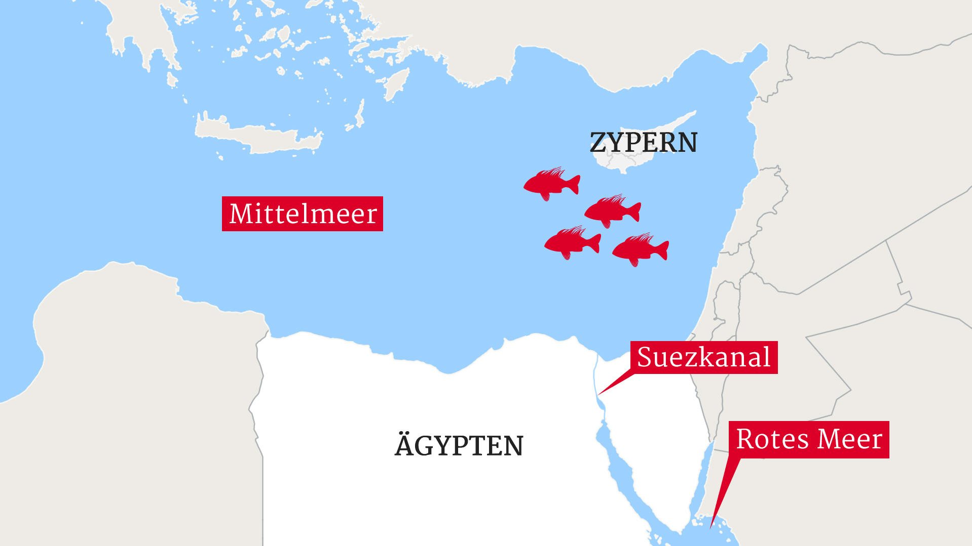Feuerfischplage bedroht das Mittelmeer Die Route der invasiven Feuerfische