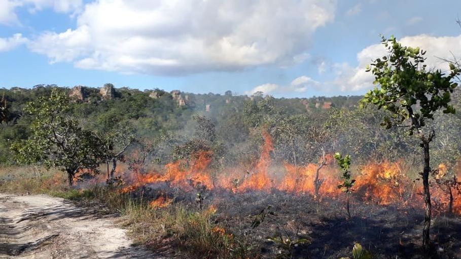 RTL-Wetterexperte Oliver Scheel: "Wir brauchen den Regenwald zum Überleben" Brasilien, Mato Grosso: Auf diesem von der Feuerwehr zur Verfügung gestellten Bild brennen Flammen auf einem trockenen Feld. In Brasilien wüten die schwersten Waldbrände seit Jahren.