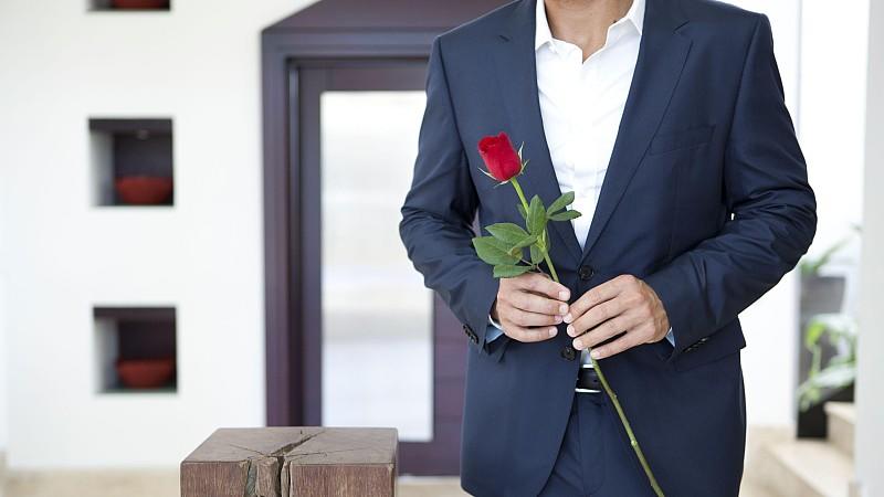 Der Bachelor 2013: Die Suche nach der Traumfrau geht wieder los Der Bachelor 2013: Ein Traummann auf der Suche nach seiner Traumfrau