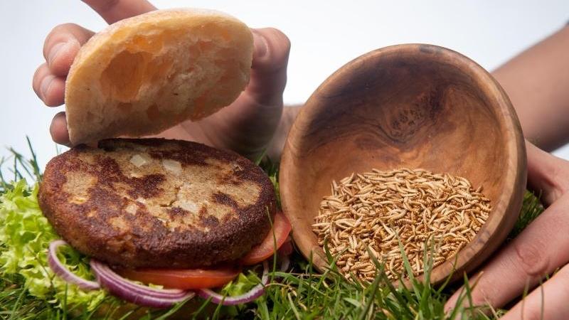 Insekten sind gesünder als O-Saft Der neu entwickelte "Insekten-Burger". Das Burgerfleisch besteht zu rund fünfzig Prozent aus Buffalo-Würmern (Getreideschimmelkäferlarven). Foto: Ingo Wagner