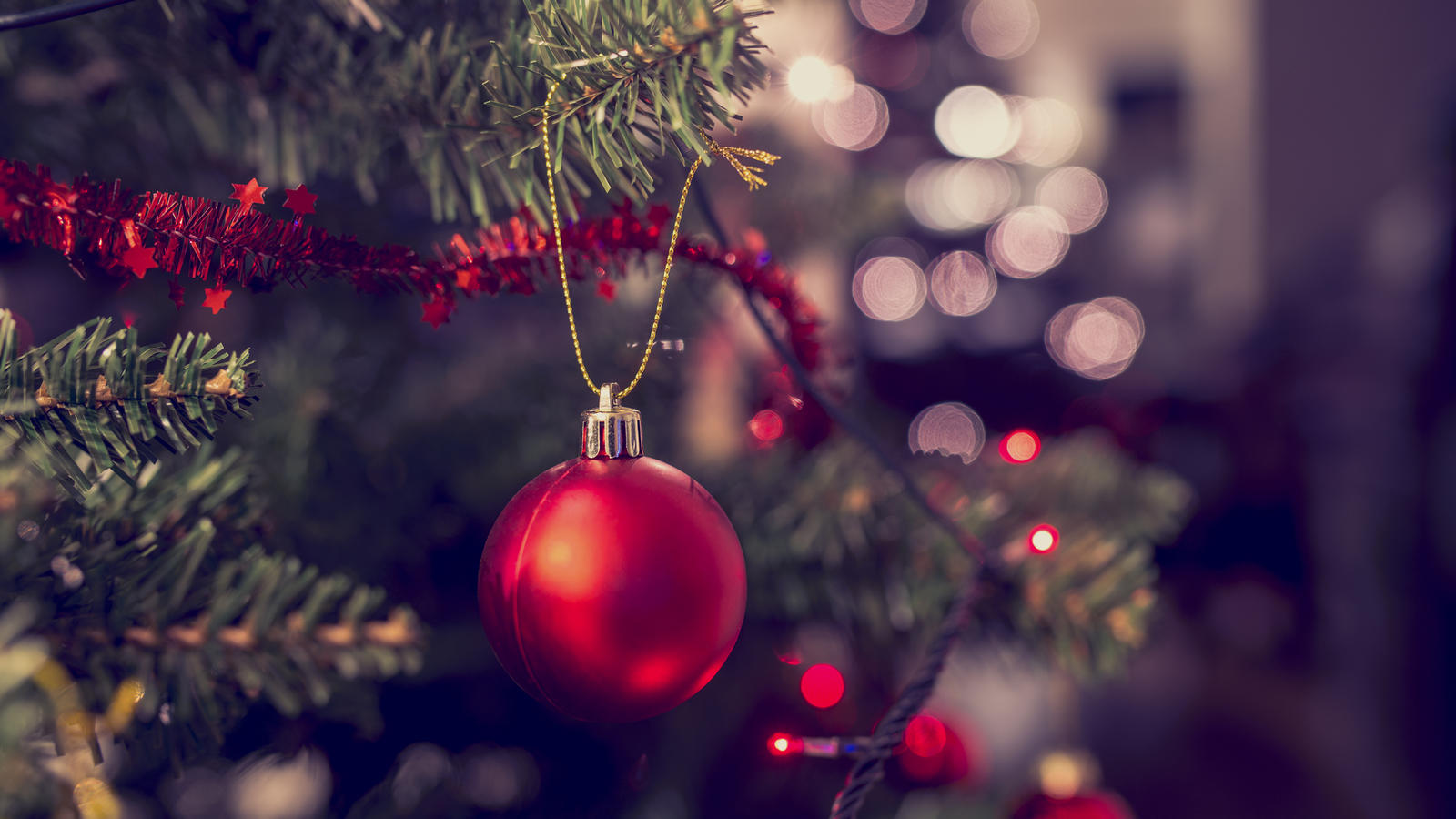 Weihnachten ohne Stress: Mit dieser To-Do-Liste für die Vorbereitungen vergessen Sie nichts! Weihnachtsbaum mit roter Kugel in Nahaufnahme