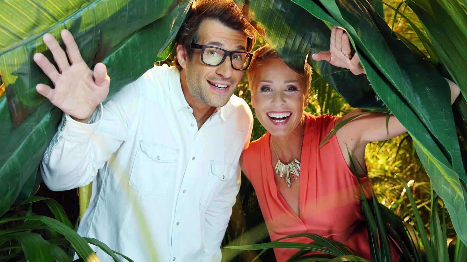 Dschungelcamp 2017: Neue Stars nehmen Kurs auf Australien Gewohnt bissig präsentiert das Moderatorenduo Sonja Zietlow und Daniel Hartwich das elfte Dschungelcamp mit neuen Stars, neuen Prüfungen, vielen Überraschungen und ganz viel Urwald-Spaß täglich live aus Australien.