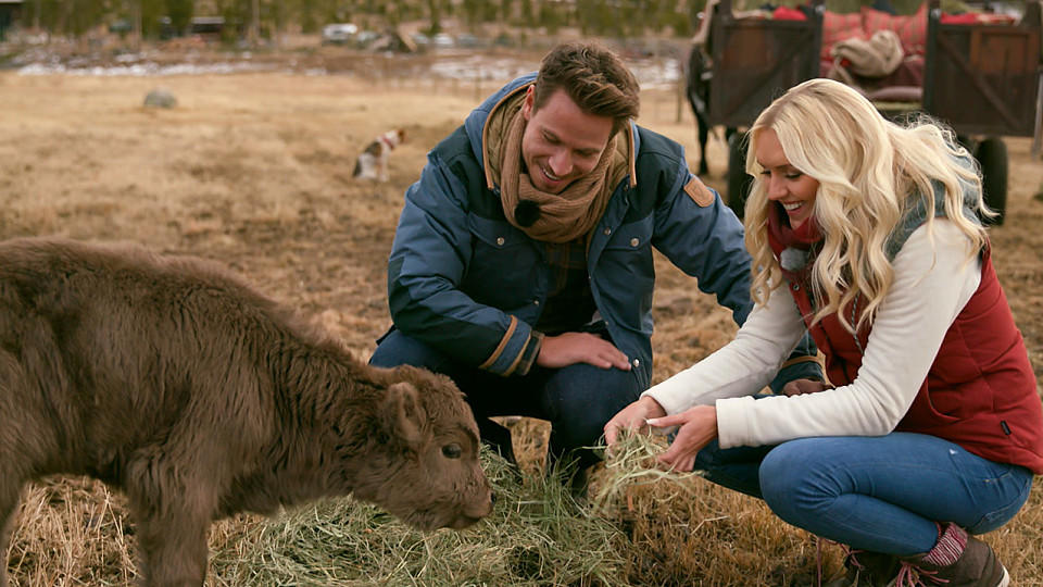 Der Bachelor 2017: Sebastian bringt Erikas Herz beim Dreamdate in Colorado zum Schmelzen Erika und Sebastian sind total entzückt von einem kleinen Kälbchen.