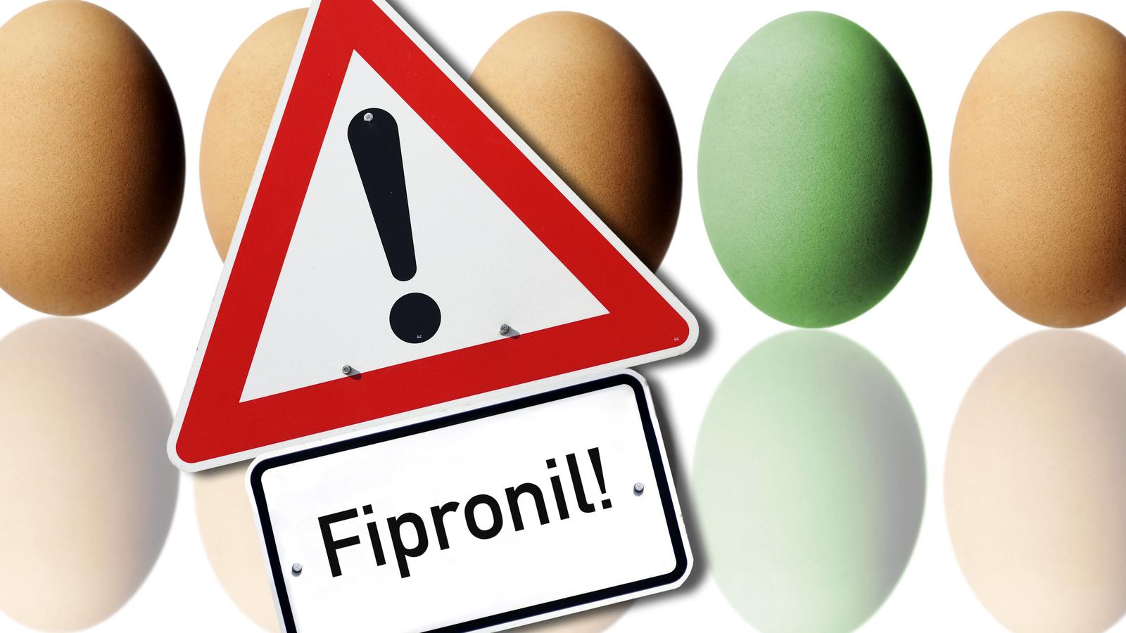 Reaktion auf Eierskandal: Aldi nimmt sämtliche Eier aus dem Verkauf Hühnereier und Warnschild, Symbolfoto für Fipronil-Belastung bei EiernChicken eggs and Warning label Symbolic image for Load at Eggs