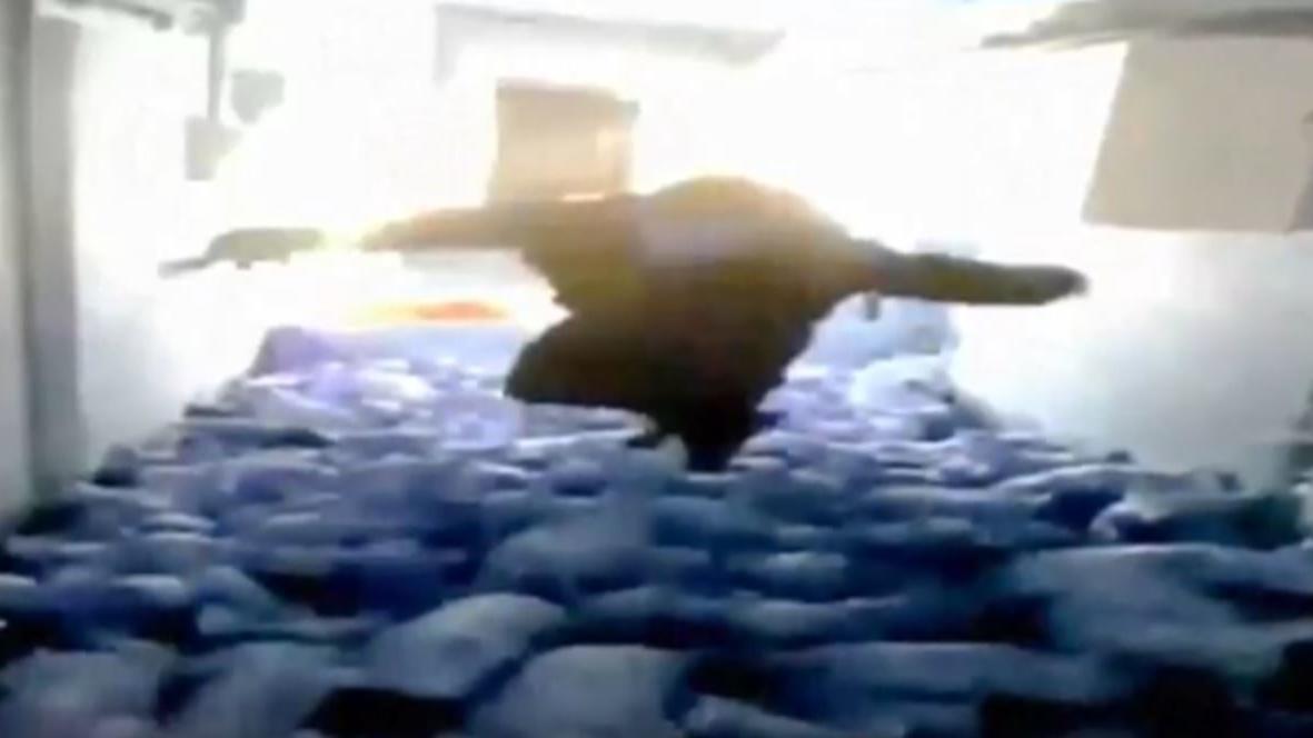 Tierquäler muss ins Gefängnis: Zum Spaß 79 Ferkel zerquetscht Video der Tierquälerei