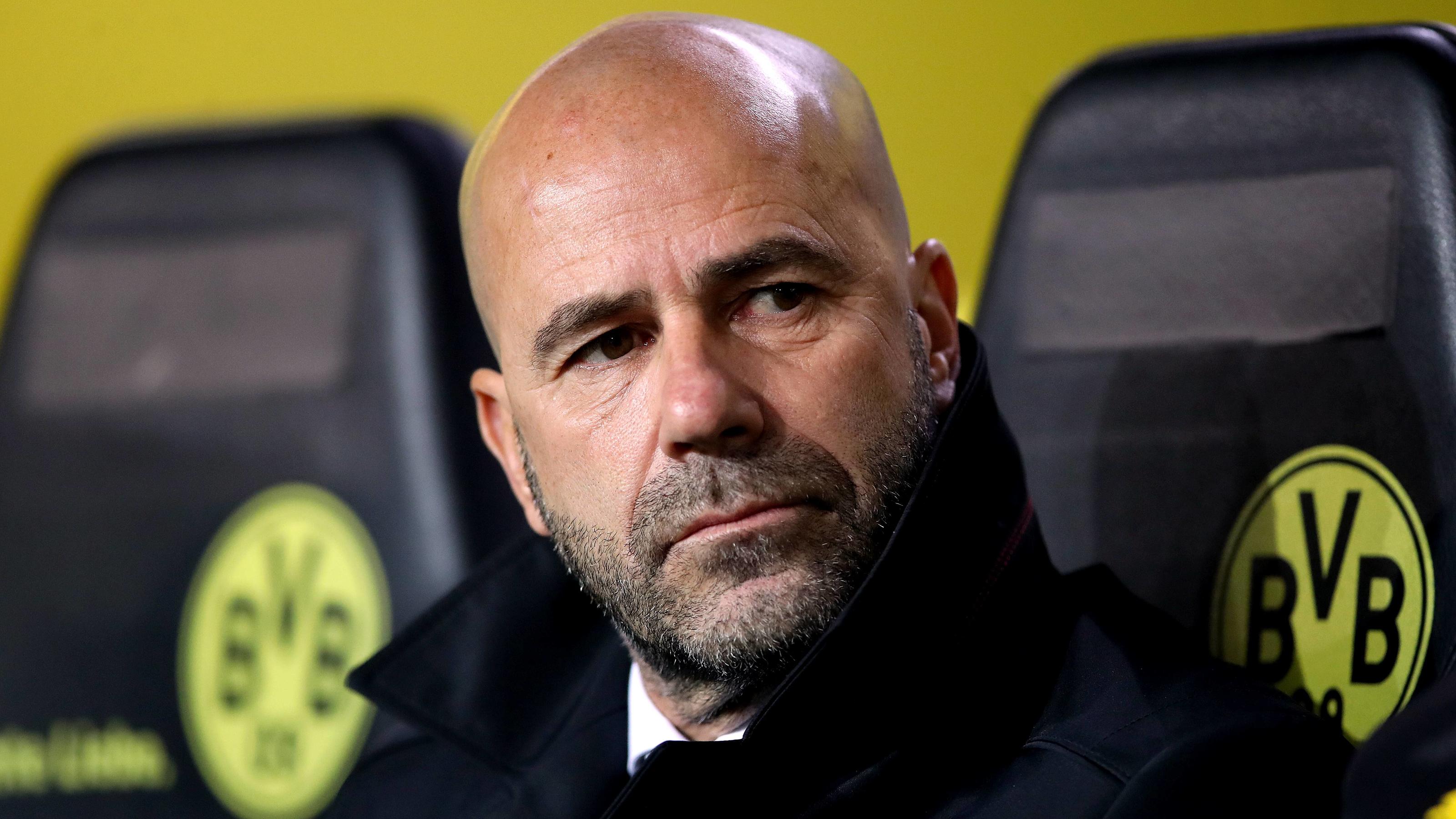 Champions League: Tottenham erlegt den BVB - Leipzig träumt nach Gala Borussia Dortmund v Tottenham Hotspur - UEFA Champions League - Group H - Signal Iduna Park Borussia Dortmund manager Peter Bosz PUBLICATIONxINxGERxSUIxAUTxONLY Copyright: xJohnxWaltonx 33828756