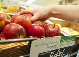 Ein Jahr nach dem Kältefrühling bekommt der Verbraucher die Folgen zu spüre... weiterlesen