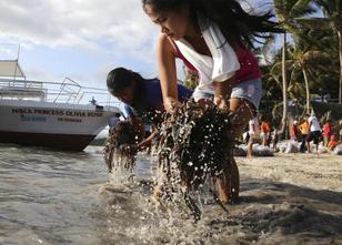 Die letzten Stunden war es an den weißen Stränden von Boracay noch einmal w... weiterlesen
