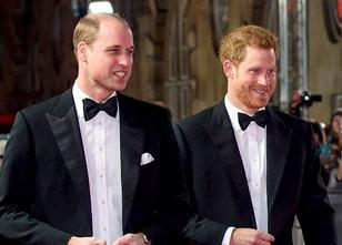 Prinz William (35) soll der Trauzeuge für seinen Bruder Prinz Harry (33) be... weiterlesen
