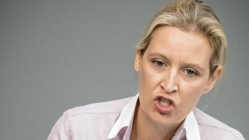 Siemens-Chef: Weidel schadet dem Ansehen Deutschlands Die Vorsitzende der AfD-Fraktion im Bundestag Alice Weidel