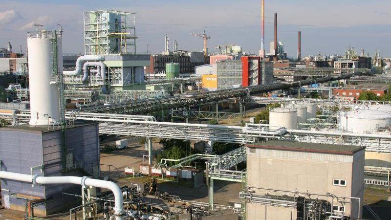 Industriepark-Höchst-Betreiber Infraserv steigert Umsatz Industriepark Höchst