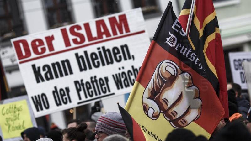 21 rechtsextreme Aufmärsche in Brandenburg Demo