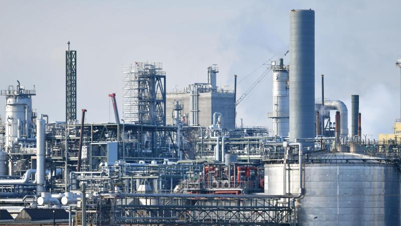 BASF begrüßt Entscheidung von EU-Gericht zu Fipronil BASF