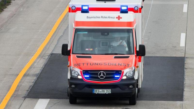 Hund läuft auf Straße: 82 Jahre alte Radfahrerin stürzt Krankenwagen im Einsatz