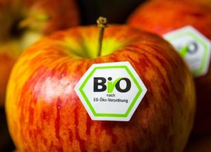 Die Öko-Landwirtschaft in Niedersachsen ist im vergangenen Jahr weiter gewa... weiterlesen
