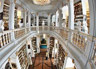 Die Anna Amalia Bibliotheksgesellschaft hat seit ihrer Gründung mehrere Hun... weiterlesen