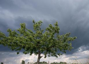 In Hessen besteht weiter Unwettergefahr. Nach heftigen Gewittern mit Starkr... weiterlesen