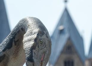 Ein Dinosaurier auf einem Kran-Lastwagen: In Halberstadt ist ein mit Gurten... weiterlesen