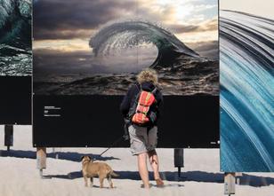 In Zingst beginnt heute das elfte Umweltfotofestival weiterlesen