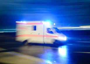 Ein nicht angeleinter Hund hat in Sankt Augustin (Rhein-Sieg-Kreis) am Sonn... weiterlesen