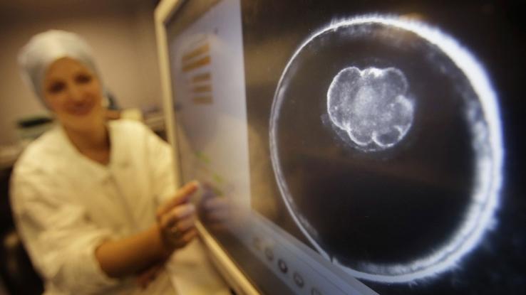 Embryo Embryo