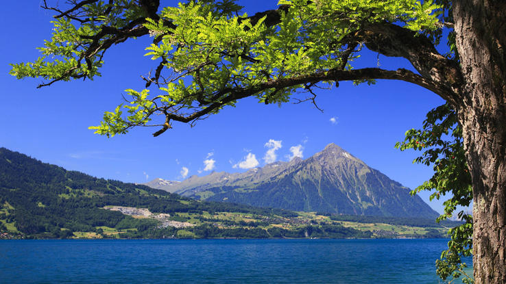 Schweiz Schweiz