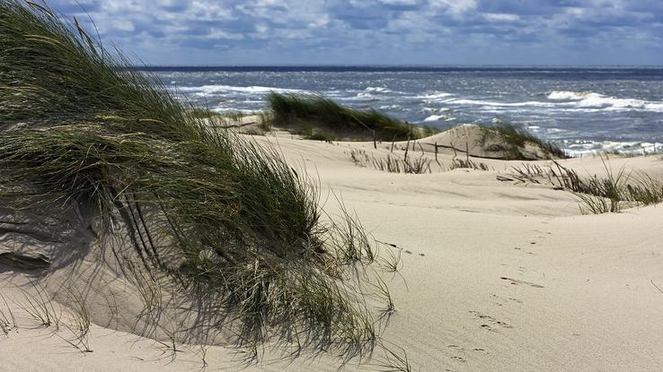Sylt Sylt