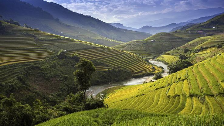 Vietnam Vietnam