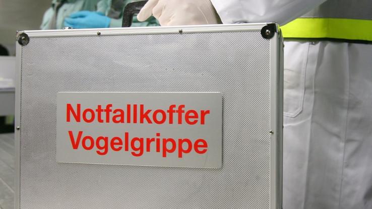 Vogelgrippe Vogelgrippe