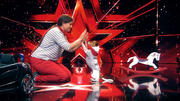 Terrier Pepsi liefert eine tierisch tolle Show Terrier Pepsi liefert eine tierisch tolle Show
