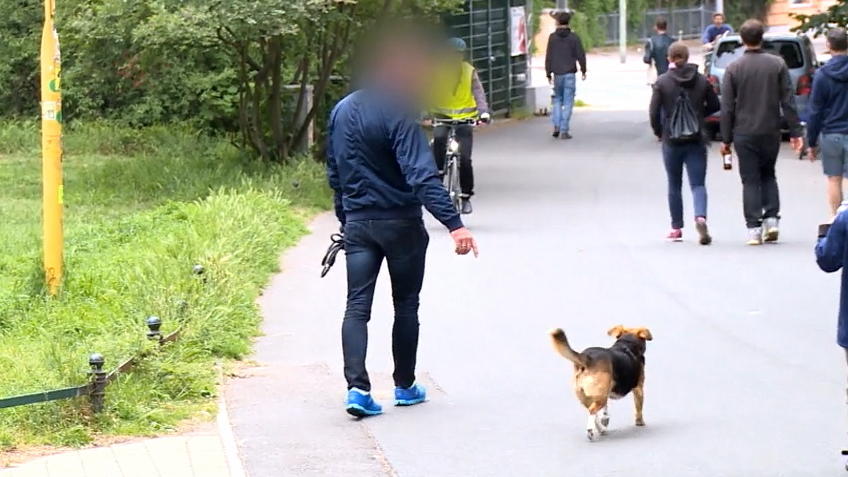 Der Hunde-Test: Mit oder ohne Leine? Der Hunde-Test: Mit oder ohne Leine?