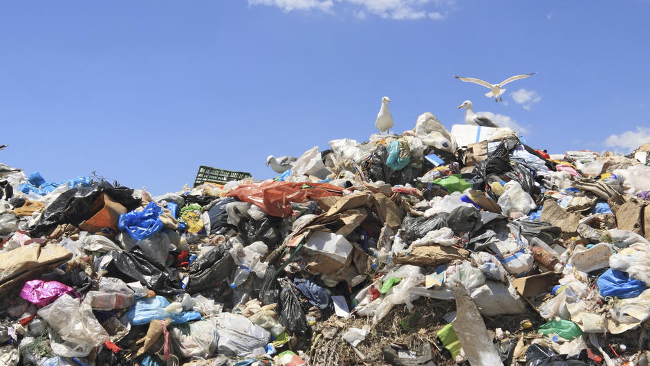 So einfach können Sie Plastikmüll vermeiden So einfach können Sie Plastikmüll vermeiden