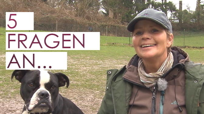 Nachgefragt bei einer Hundetrainerin Nachgefragt bei einer Hundetrainerin