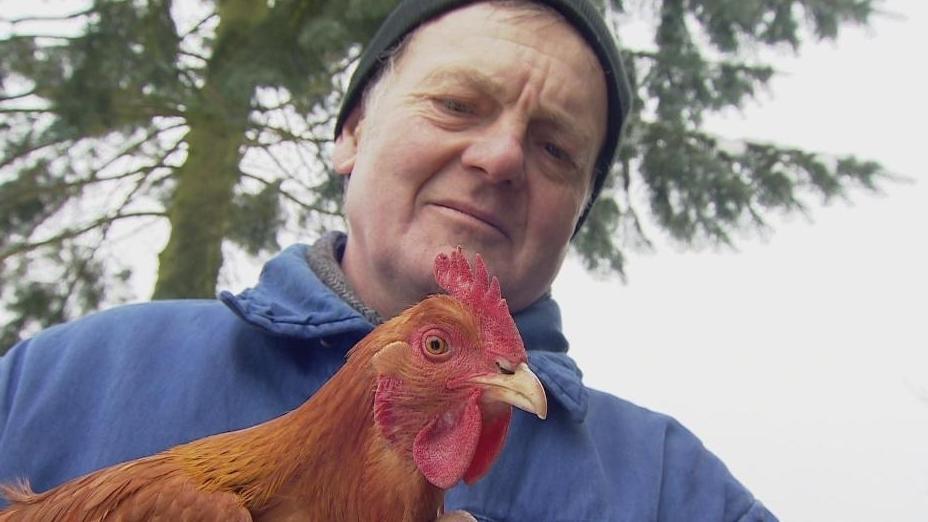 Inge ist das cleverste Huhn Deutschlands! Inge ist das cleverste Huhn Deutschlands!
