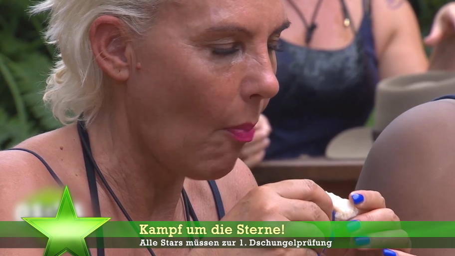 Das ist an Tag 1 im Dschungelcamp passiert Das ist an Tag 1 im Dschungelcamp passiert