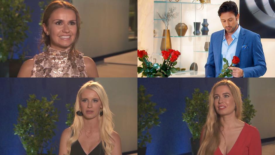 Alina, Claudia und Clarissa sprechen über ihr Aus Alina, Claudia und Clarissa sprechen über ihr Aus