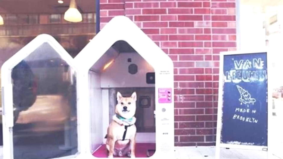 Das hier ist ein Hunde-Parkhaus! Das hier ist ein Hunde-Parkhaus!