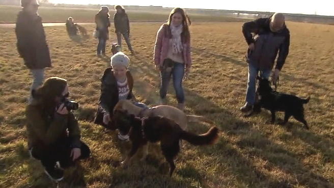 So heißen Hunde heutzutage So heißen Hunde heutzutage