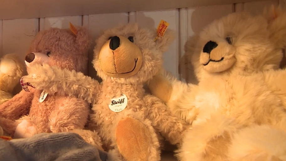 Erstklässler darf Kuscheltier nicht mit in Schule nehmen! Erstklässler darf Kuscheltier nicht mit in Schule nehmen!
