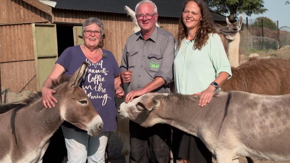 Kompletter Zoo zum Verkauf Kompletter Zoo zum Verkauf
