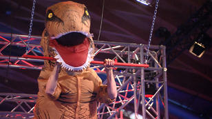 "Tyrannosaurus Flex" sorgt für Begeisterung "Tyrannosaurus Flex" sorgt für Begeisterung