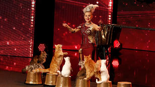 Die allererste Katzen-Nummer beim Supertalent Die allererste Katzen-Nummer beim Supertalent