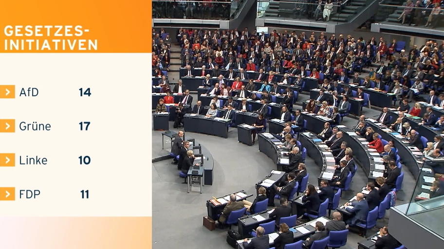 Ein Jahr AfD im Bundestag: Was haben sie geleistet? Ein Jahr AfD im Bundestag: Was haben sie geleistet?