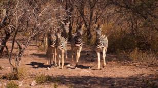 Oliwia erlebt Namibia hautnah Oliwia erlebt Namibia hautnah