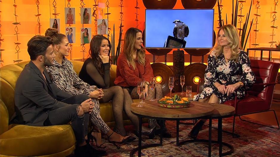 Das große Bachelor-Orakel spricht Das große Bachelor-Orakel spricht