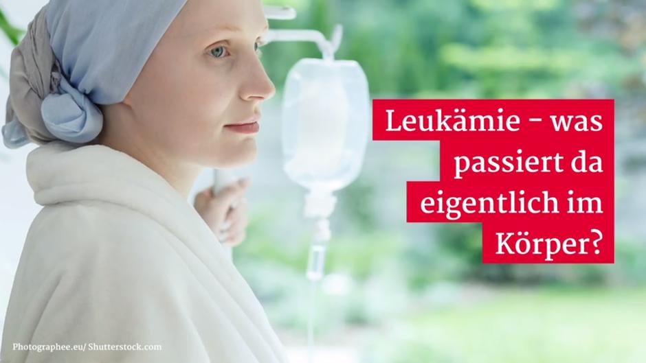 Leukämie - was passiert da eigentlich im Körper? Leukämie - was passiert da eigentlich im Körper?